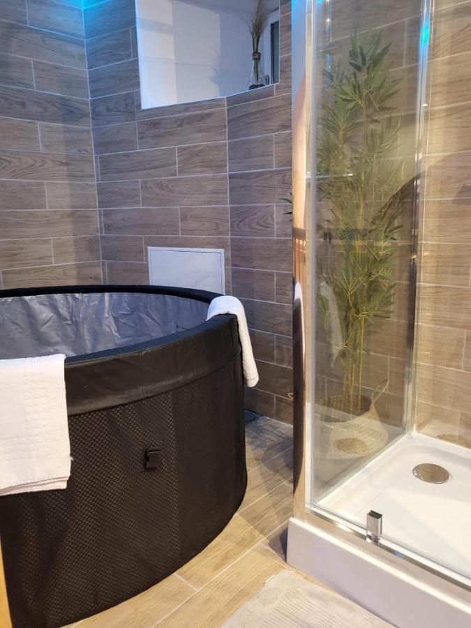 Le Spa De La Cathedrale - Jacuzzi - Sauna - Champagne - Netflix - Wifi Troyes Extérieur photo